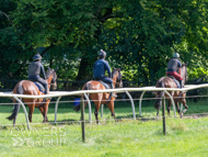 EL130924-25 - Emma Lavelle Stable Visit